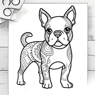 Boston Terrier Malarbild 105637-43186