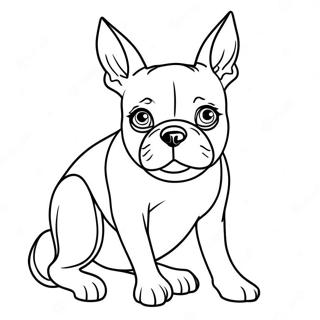 Boston Terrier Malarbild 105637-43188