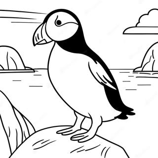 Puffin Rock Målarbilder