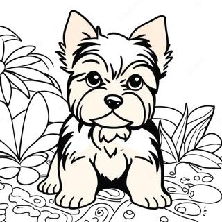 Yorkshireterrier Målarbilder