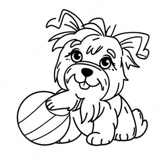 Lekfull Yorkie Med En Boll Malarbild 109801-46504