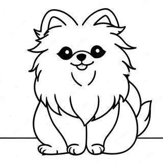 Pomeranian Målarbilder