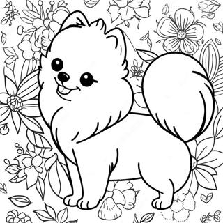 Pomeranian Malarbild 118573-53722