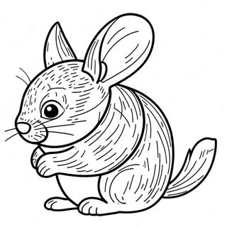 Chinchilla Malarbild 123943-58130