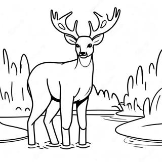 Mild Bockhjort Som Dricker Vatten Malarbild Målarbilder