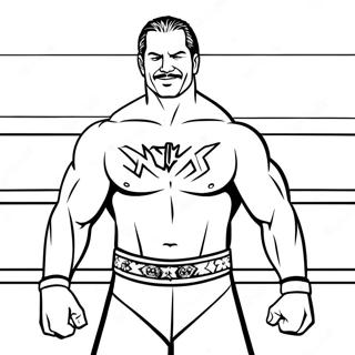 Wwe Malarbild 136951-68612