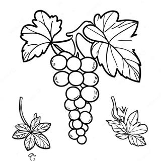 Vine Malarbild 138617-69911