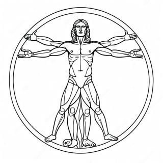 Vitruvianus Med Detaljerad Anatomi Malarbild 139105 70304