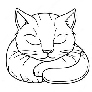 Sovande Katt Som Sover Malarbild 2174 2795