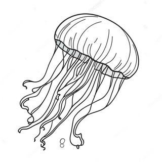 Majestatisk Manet Glidande Genom Vattnet Malarbild 28951-6302