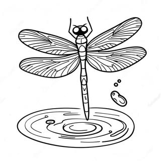 Storslagen Trollslanda Flyger Over Vatten Malarbild 39732-8679