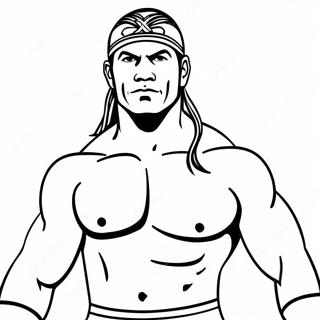 Enkel Wwe Brottare Malarbild 68154-14909