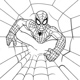 Spider Man Med Nat Malarbild 743 24