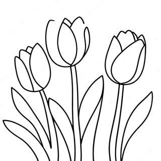 Fargglada Tulpaner I Blom Farglaggningssida 75549-18611