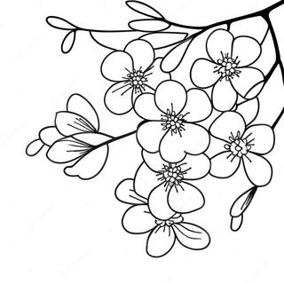 Omtaliga Korsbarsblommor Farglaggningssida 75552-18624