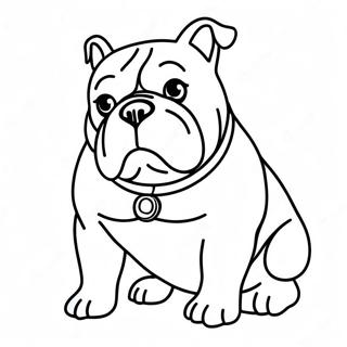 Bulldog Malarbild 76090-19026