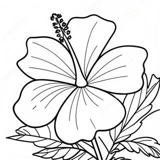 Hibiskusblomma Malarbild 83393 24707