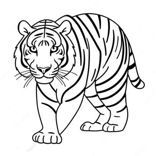 Tiger Målarbilder