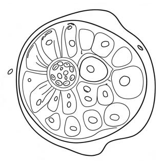 Växtcell Målarbilder