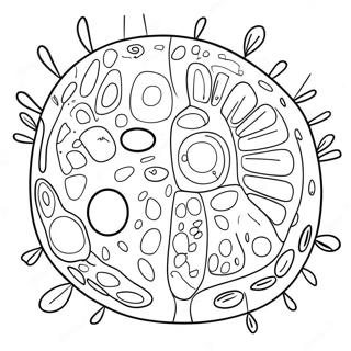 Malarbild Av Vaxtcellens Diagram 92194-31882