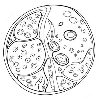 Malarbild Av Vaxtcellens Diagram 92194-31884