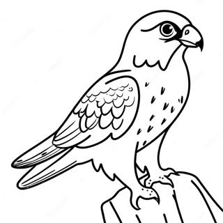 Peregrine Falcon Malarbild 99239-37896